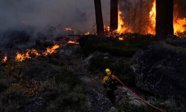 A firefighter carries a water hose toward a spot fire from the Caldor Fire burning along Highway 89 near South Lake Tahoe