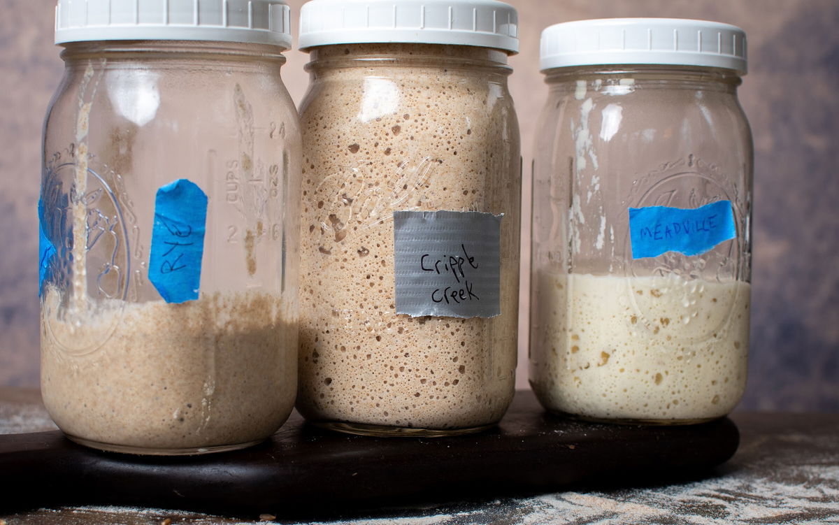 <i>John Mangine</i><br/>Making your own sourdough starter takes practice and patience.