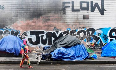 California's homelessness crisis