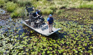 Alligator suspected of killing a man in Hurricane Ida floodwaters found with what appears to be human remains in its stomach.