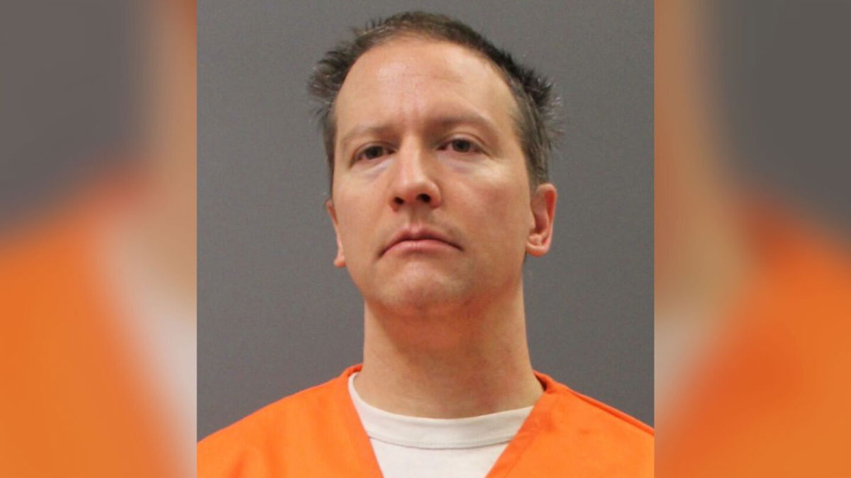 <i>Minnesota Department of Corrections</i><br/>Former Minneapolis cop Derek Chauvin pleads not guilty to federal charges related to the use of unreasonable force on a 14-year-old in September 2017.