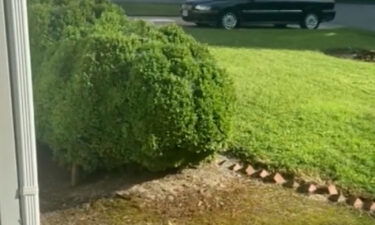 A general view of Jannique Martinez's neighborhood is seen in Virginia Beach