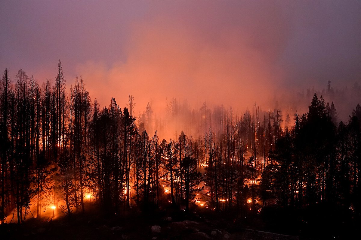 <i>Jae C. Hong/AP</i><br/>California could be dealing with massive wildfires until the end of the year. Trees scorched by the Caldor Fire smolder in Eldorado National Forest