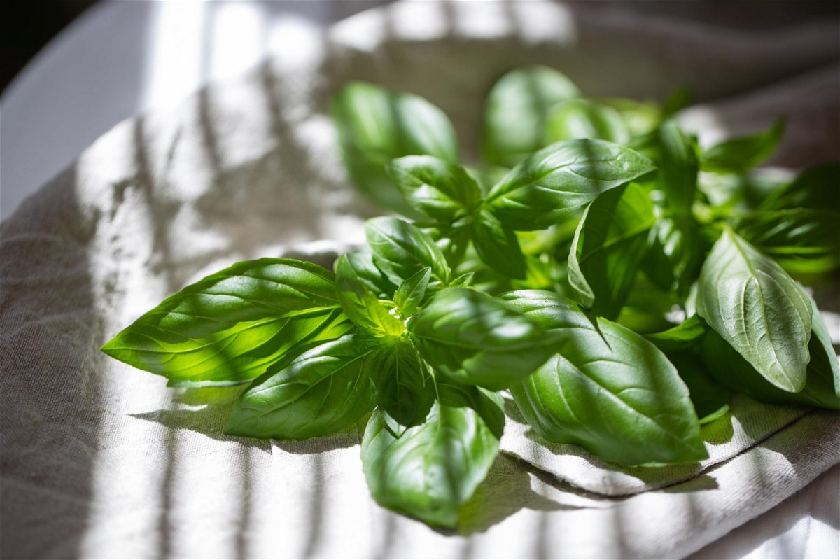 <i>Heather Fulbright/CNN</i><br/>Add the final basil leaves for garnish right before serving to preserve their bright green color.