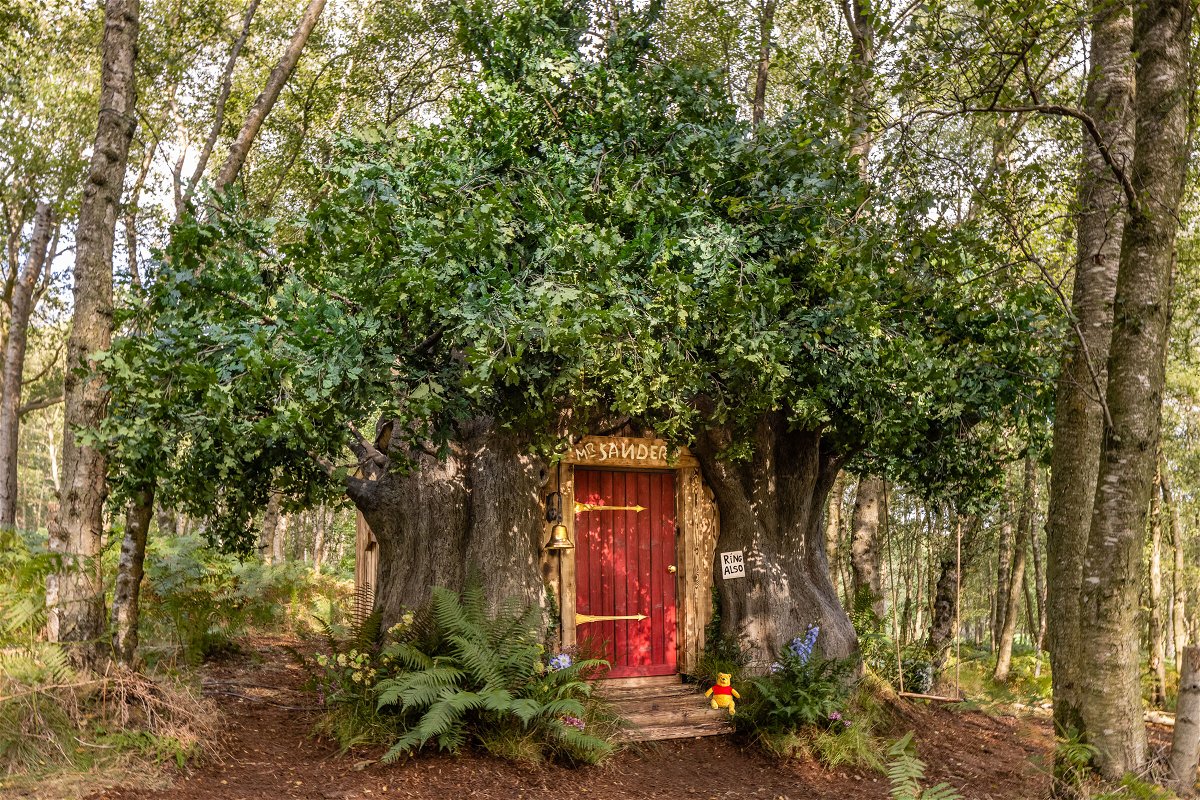 <i>Henry Woide/Airbnb</i><br/>Winnie the Pooh's tree house was created to celebrate the 95th anniversary of the book character.