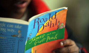 Netflix says it has acquired the rights to Roald Dahl's stories and plans to create a "unique universe" of products based on them.