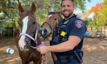 Officer Andrew Gelden of the Caledonia Police Department poses with two horses that were found.