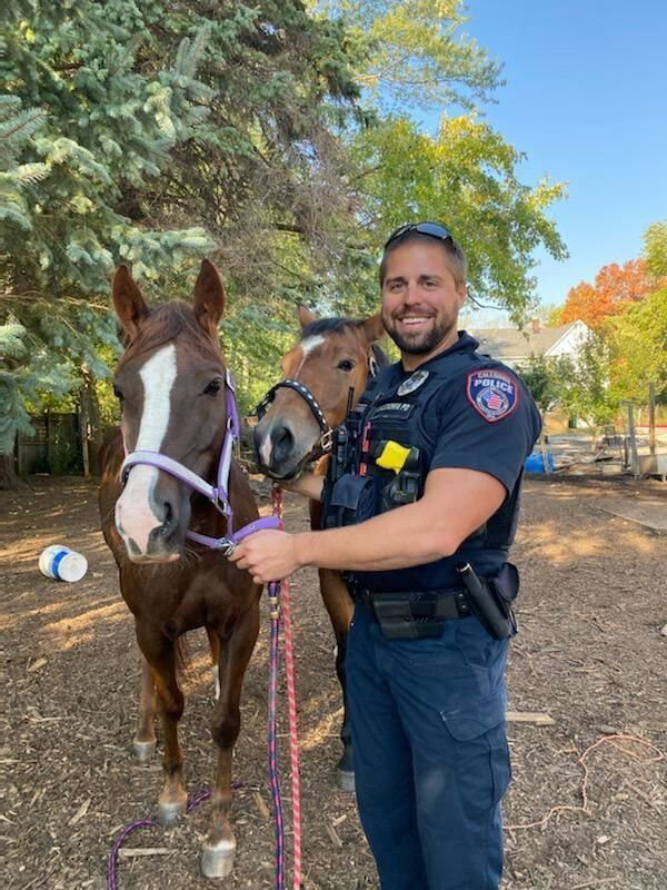 <i>Caledonia PD via Journal Times</i><br/>Officer Andrew Gelden of the Caledonia Police Department poses with two horses that were found.