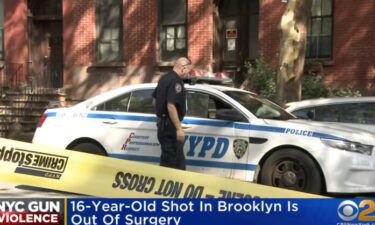 Police canvas a Brooklyn