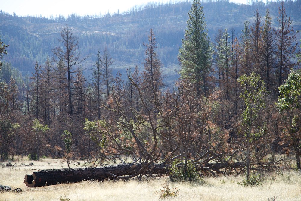 Scene of South Obenchain Fire in Southern Oregon, which burned 30,000 acres, destroyed 100 structures