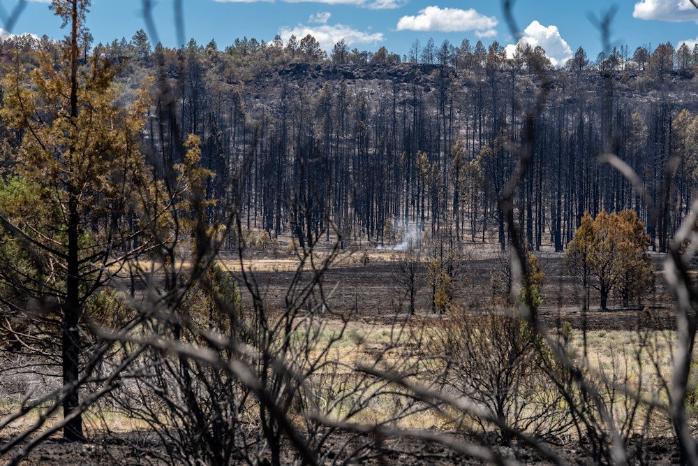 More than 800,000 acres across all jurisdictions burned in the fire season just ended. While fewer acres than in 2020, the burned area is well above the 10-year average for the state