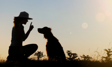 Things to consider when adopting a pet
