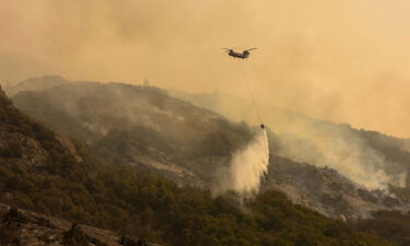 As fire crews work to contain the KNP Complex Fire that has destroyed many of California's iconic sequoia trees