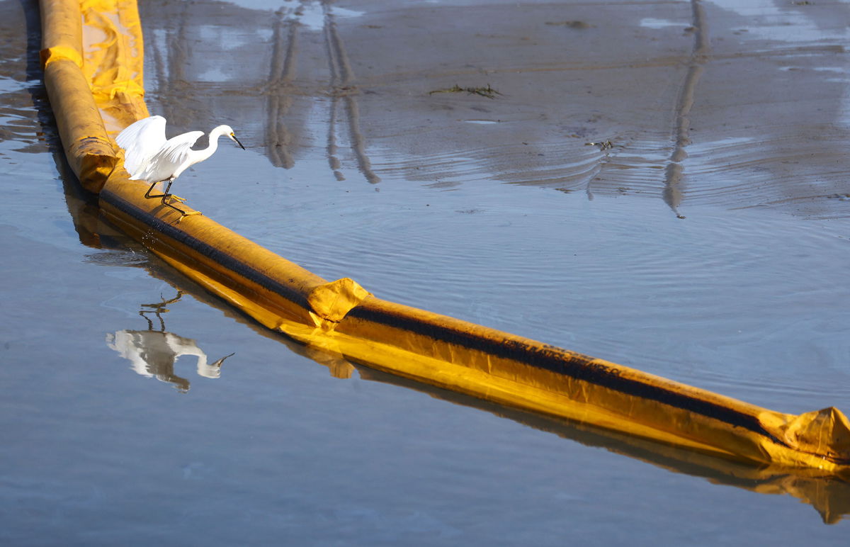 <i>Mario Tama/Getty Images</i><br/>A bird balances on a boom