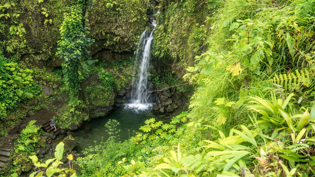 <i>Peter Schickert/picture-alliance/dpa/AP</i><br/>Emerald Pool and waterfall in Morne Trois Pitons National Park in Dominica.