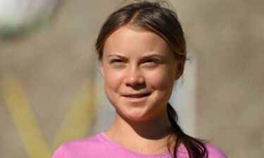 Greta Thunberg pulled a classic internet prank on the concert audience.