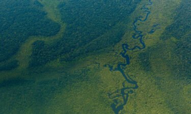Aerial view of the Amazon forest near Sao Gabriel da Cachoeira.