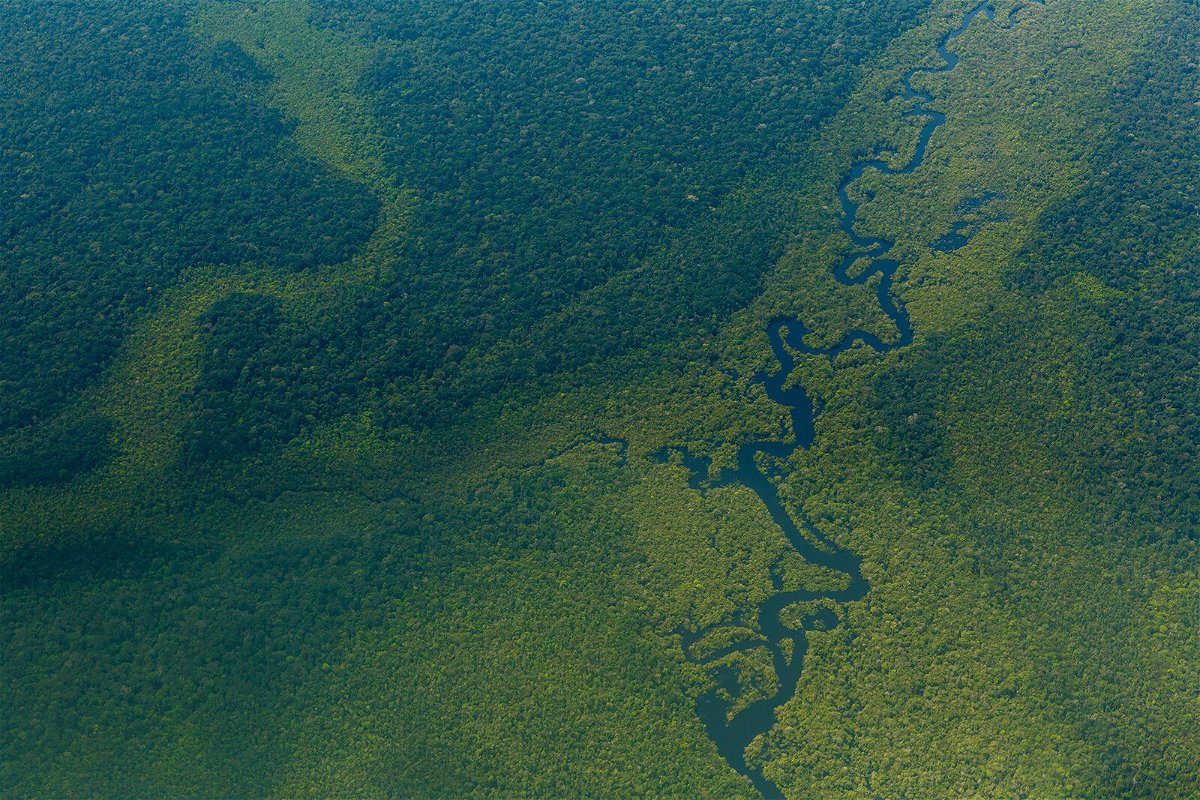 <i>Diego Baravelli/picture alliance/Getty Images</i><br/>Aerial view of the Amazon forest near Sao Gabriel da Cachoeira.