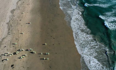 Cleanup workers scour the sand in Huntington Beach