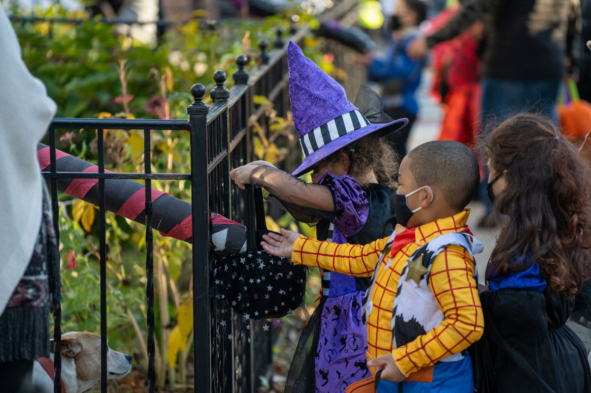 <i>David Dee Delgado/Getty Images</i><br/>Children receive treats by candy chutes while trick-or-treating for Halloween in Woodlawn Heights on October 31