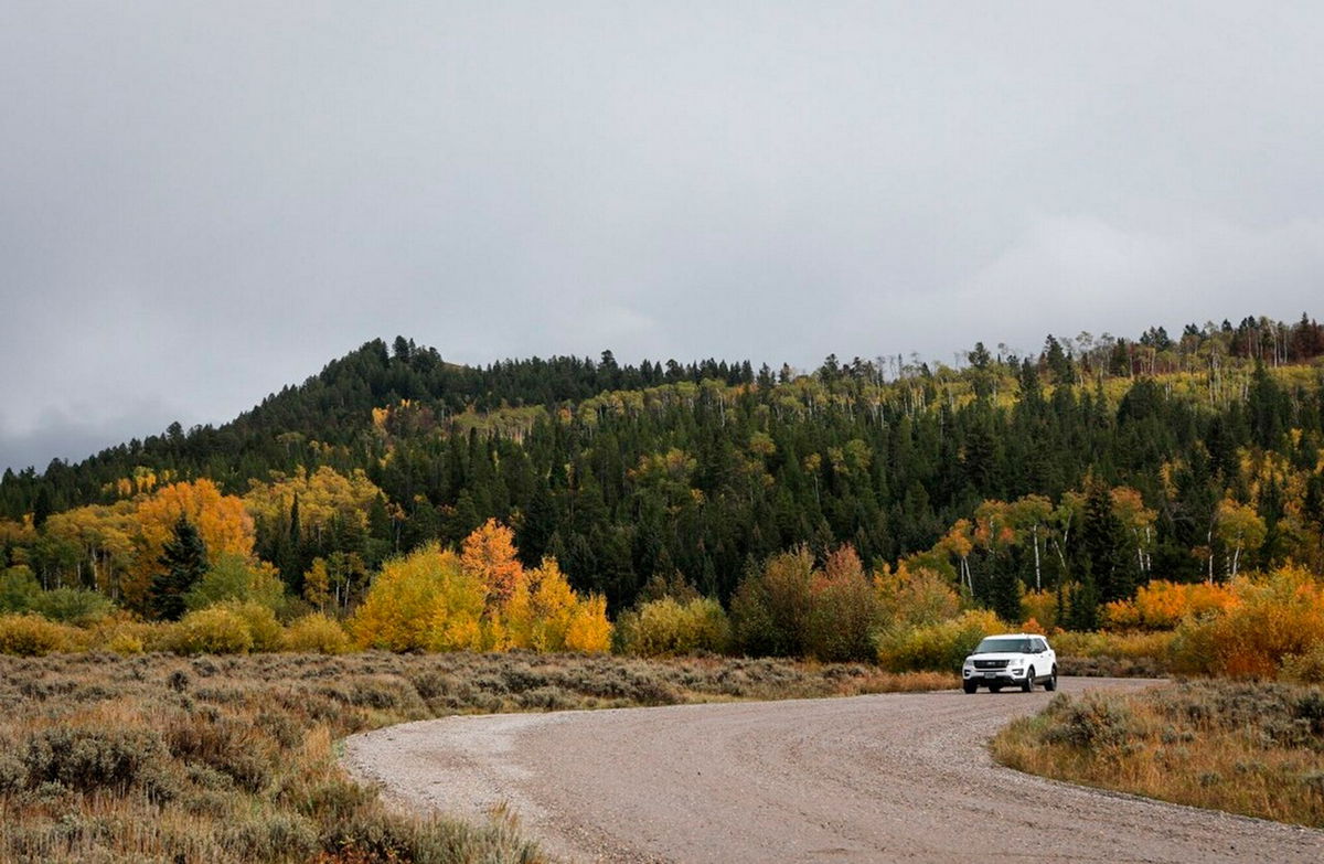 <i>Amber Baesler/AP</i><br/>A vehicle drives in the Bridger-Teton National Forest