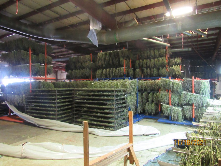Authorities seized tons of illegal marijuana from S. Oregon warehouses last November