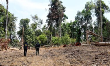 Officials from Para State in northern Brazil inspect a deforested area in the Amazon in September.