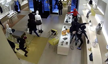 At least 14 people forced their way into a Louis Vuitton store in Oak Brook