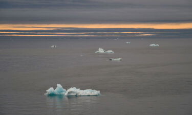 Icebergs in the Arctic Ocean off the Franz Josef Land archipelago on August 16