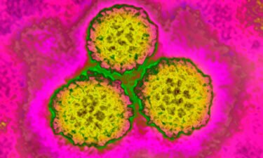 The first generation Human papillomavirus (HPV) vaccine cut cervical cancer rates among women by 87%
