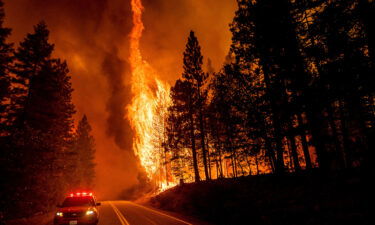 The five-count indictment alleges that Gary Stephen Maynard set four fires in the Shasta Trinity National Forest and the Lassen National Forest