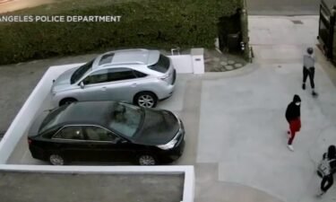 Los Angeles police released surveillance video of the moment two men cornered and robbed a woman who was with her baby in the driveway of their Los Angeles home.