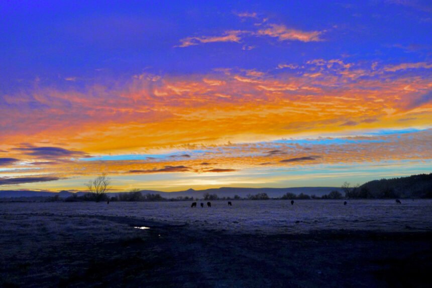 Sunrise field near Prineville Brent Bunch 1129