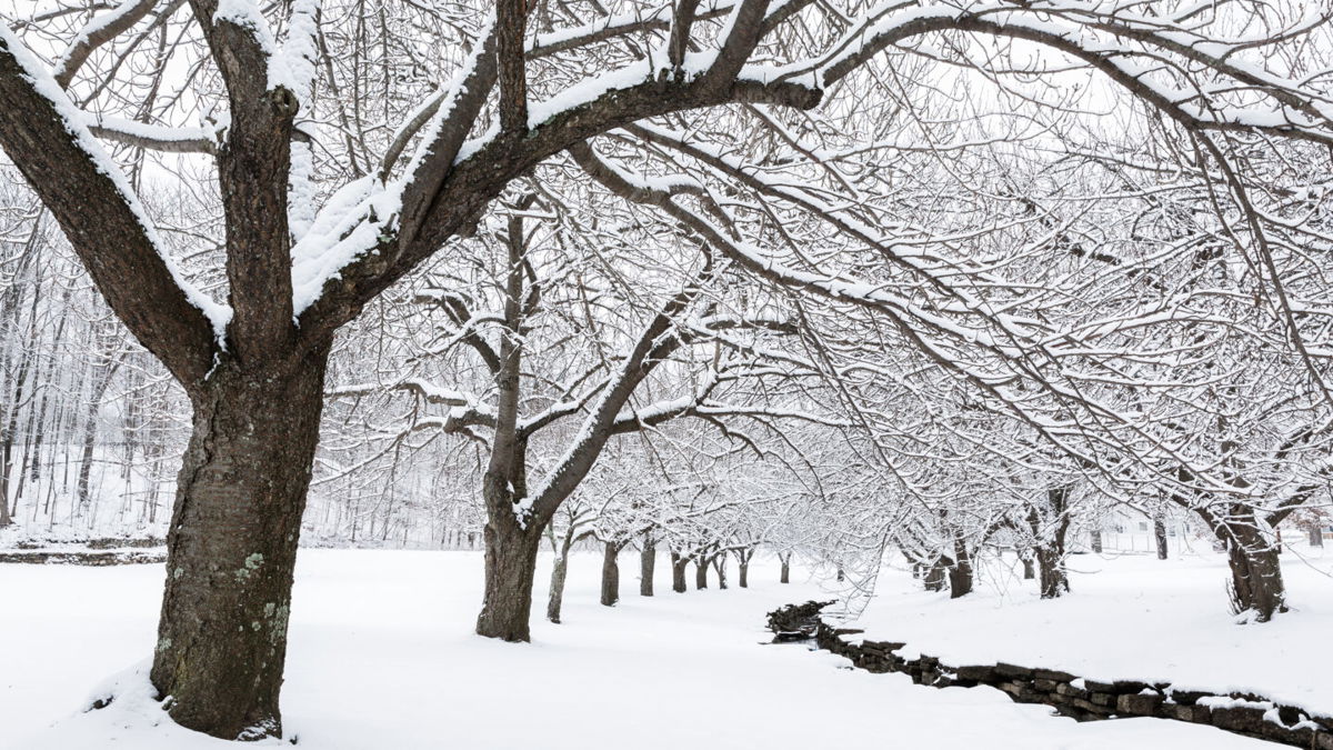 <i>Shutterstock</i><br/>Starting the day after the winter solstice