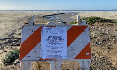 A male surfer was killed in a shark attack in Morro Bay