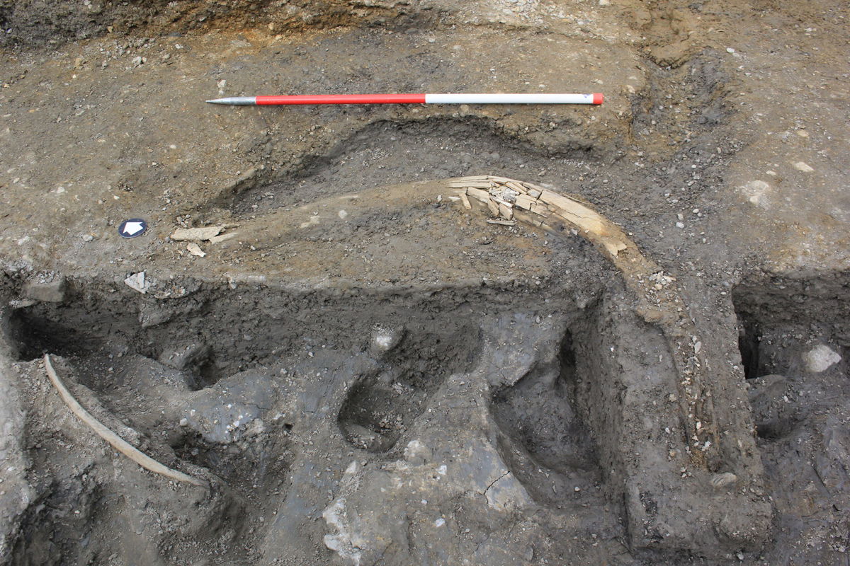 <i>DigVentures</i><br/>Research continues to determine why there are so many mammoth remains