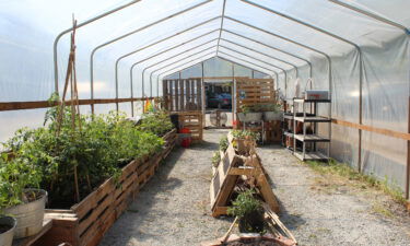 The Shared Spaces Foundation has built a greenhouse on the parcel of land that it plans to repatriate to the Duwamish tribe.