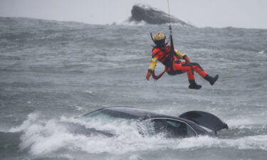 A woman who was pulled from a car submerged in rushing water near the brink of Niagara Falls has died