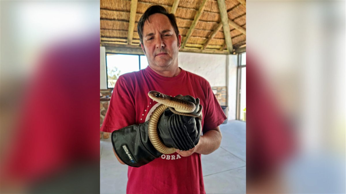 <i>Gerrie Heyns</i><br/>Snake catcher Gerrie Heyns recovered the animal from the family's tree.