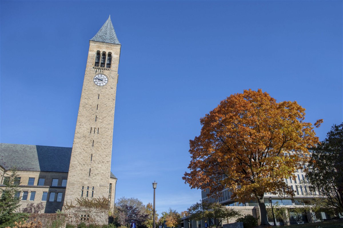 <i>Education Images/Universal Images Group/Getty Images</i><br/>Cornell University is shutting down its Ithaca