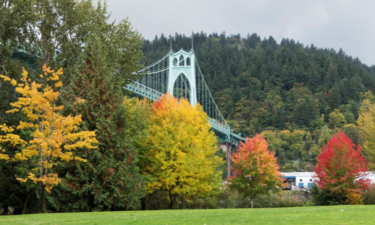 Oregon has 1 of the 50 cities with the most green space per capita