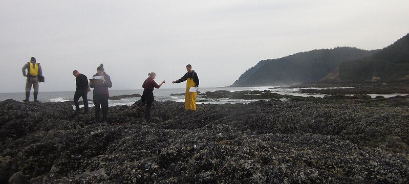 Undergraduate students at Oregon State University assist in monitoring the intertidal zone on the Oregon coast.