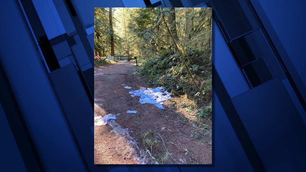 Citizen reported finding over 200 pieces of stolen Powell Butte mail dumped near Hwy. 58 east of Oakridge