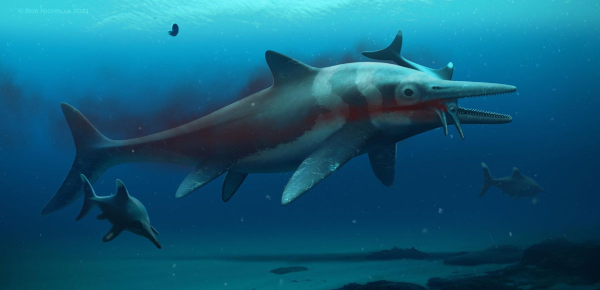 <i>Anglian Water</i><br/>An artistic reconstruction of what the ichthyosaur may have looked like.