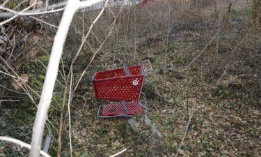 The shopping cart pictured above was located in an isolated wooded area near where human remains were found in December in the Alexandria section of Fairfax County.