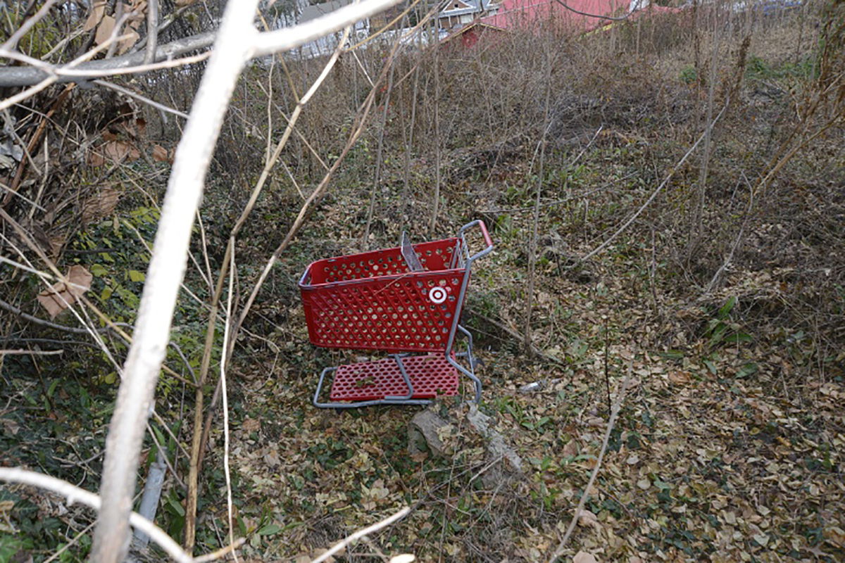 <i>Fairfax County Police Department</i><br/>The shopping cart pictured above was located in an isolated wooded area near where human remains were found in December in the Alexandria section of Fairfax County.