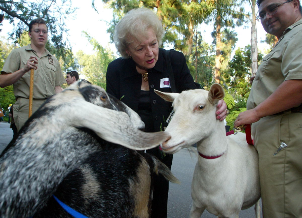 <i>Bryan Chan/Los Angeles Times/Getty Images</i><br/>Betty White loved animals and advocated for them.
