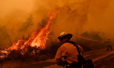 Firefighters battle the Windy Fire in the Sequoia National Forest in California on September 22
