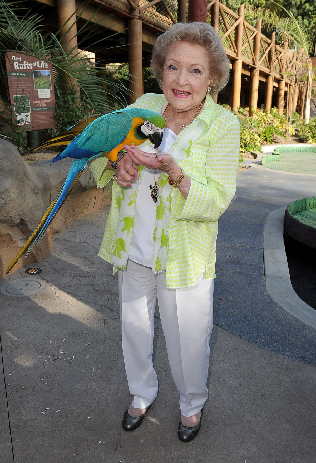 <i>Angela Weiss/Getty Images</i><br/>Actress Betty White attends the Greater Los Angeles Zoo Association's (GLAZA) 44th Annual Beastly Ball at Los Angeles Zoo on June 14