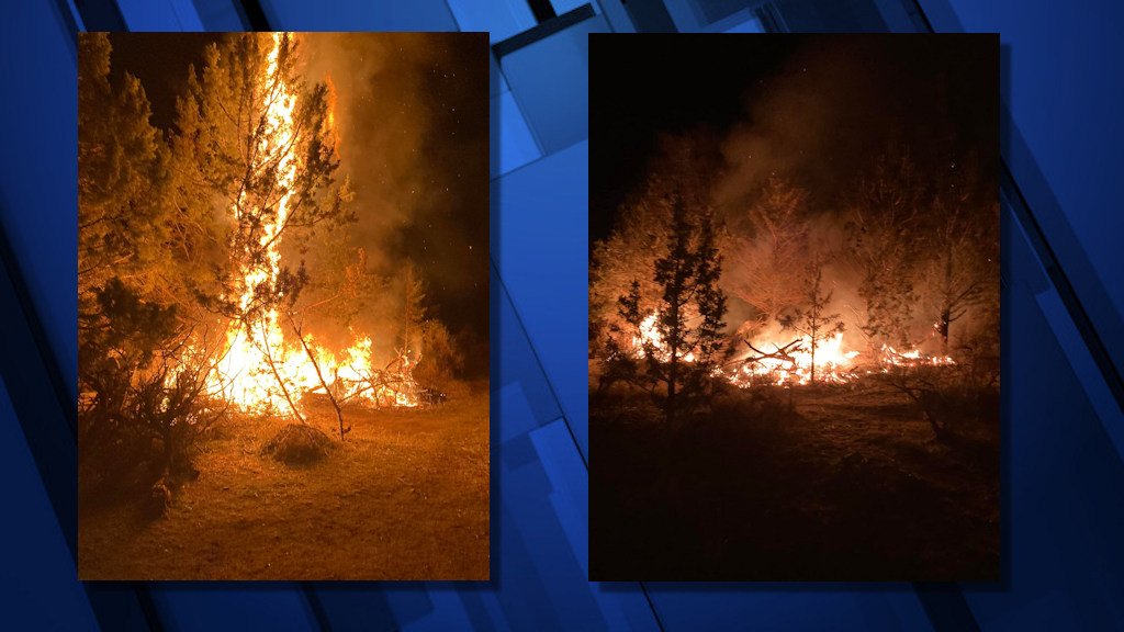 Large juniper tree burned in Madras fire Thursday evening